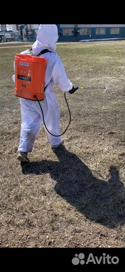 Уничтожение, избавим от клопов,тараканови запахов