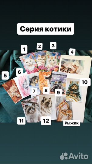 Открытки горы котики цветы море