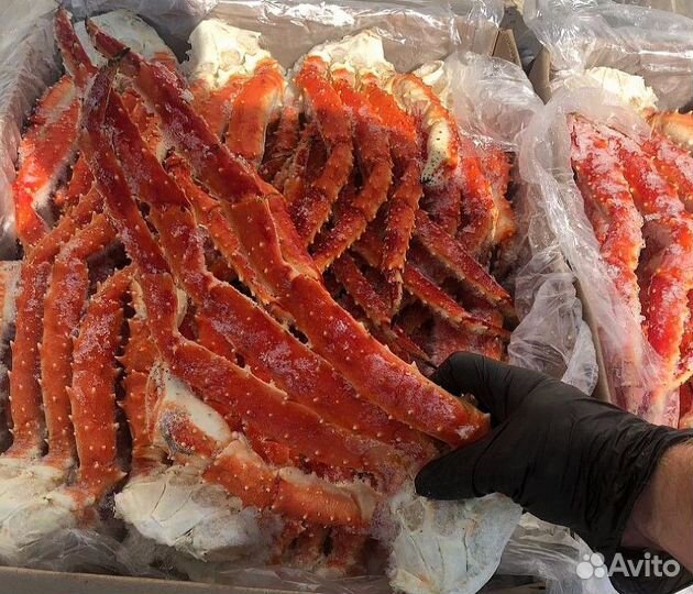 Клешни камчатского краба