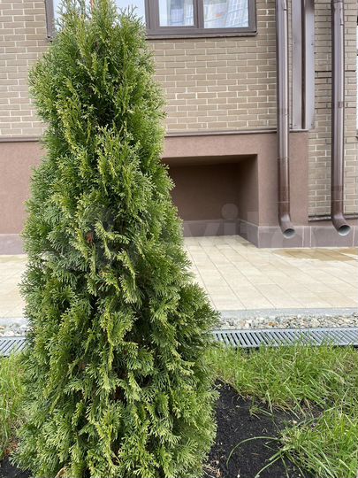 2-к. квартира, 57,6 м², 4/4 эт.