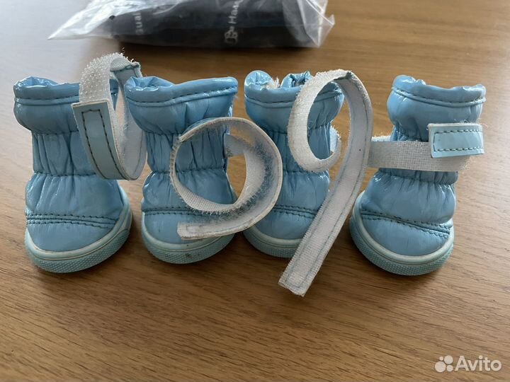 Обувь для собак