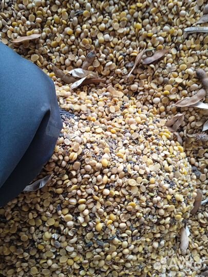 Товары для домашних животных