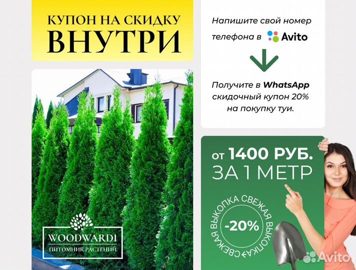 Туи Крупномеры Смарагд 1,8-2 м