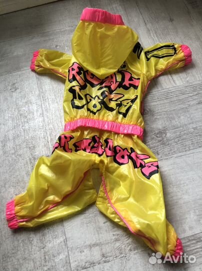 Одежда для собак