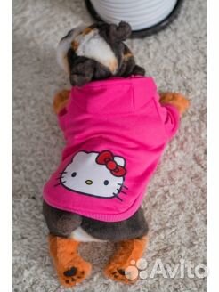 Толстовка для собак размер М или 23, Новая