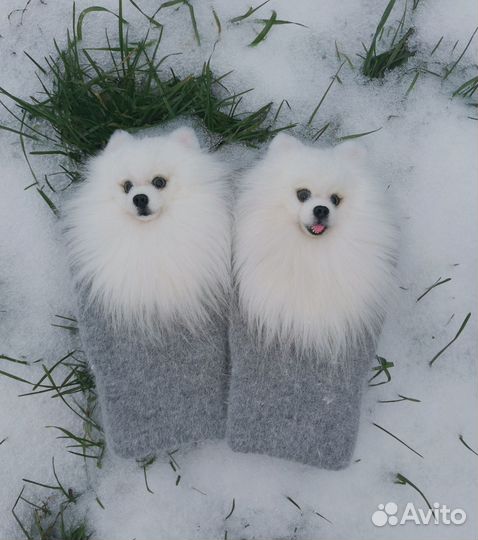 Варежки звероварежки с собачками