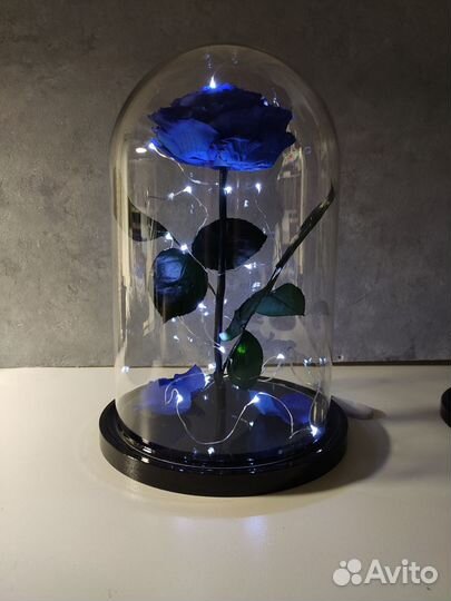Синяя роза в колбе