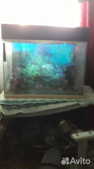 Аквариум