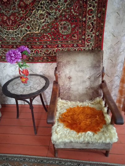 Дом 54 м² на участке 6 сот.