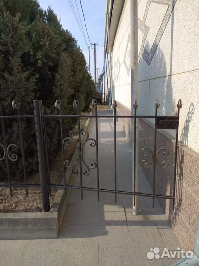 Можжевельник