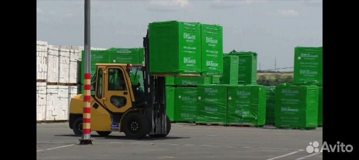 Газоблок 300х200х644