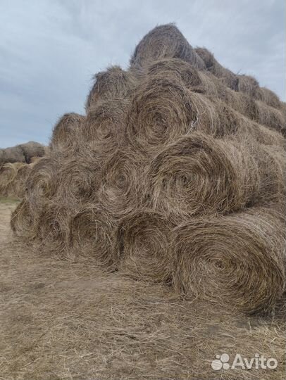 Сено в рулонах