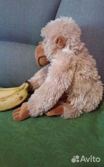 Обезьянка жаконя