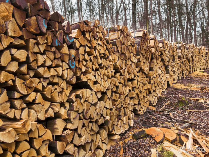Дрова колотые