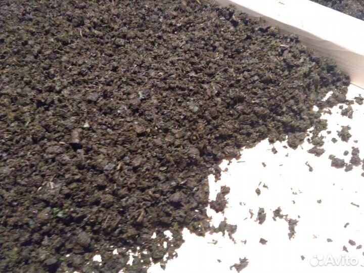 Иван-чай ферментированный (кипрей узколистный )