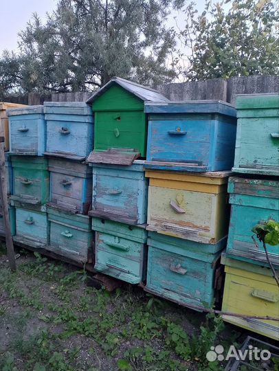 Ульи для пчел