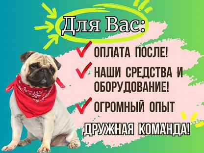 Гениральная уборка в квартире. Томилино, Островцы