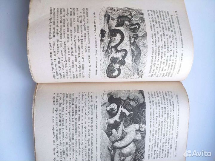 Старинные книги