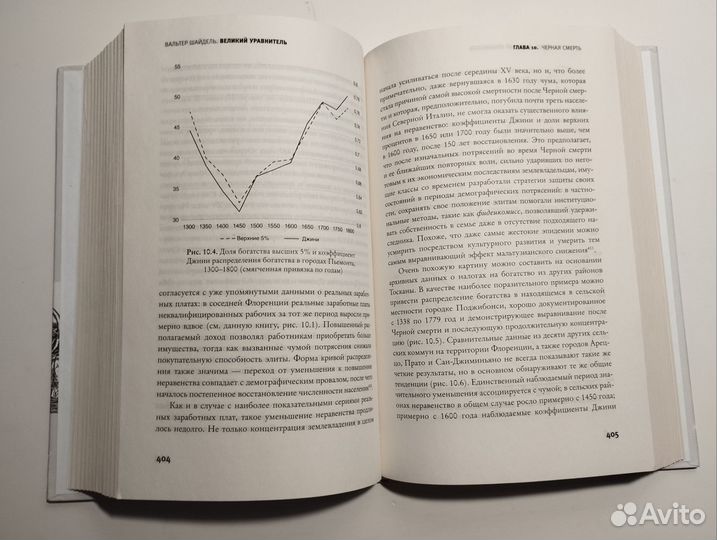 «Великий уравнитель» В. Шайдель