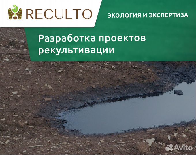 Разработка проектов рекультивации земель в Москве