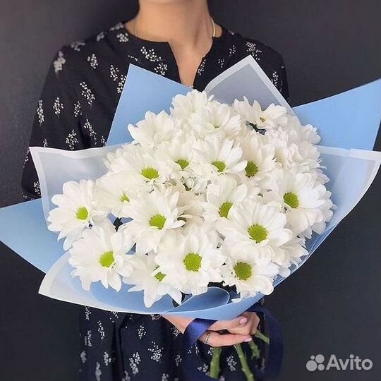 Хризантема Доставка цветов