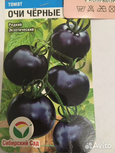 Рассада помидор