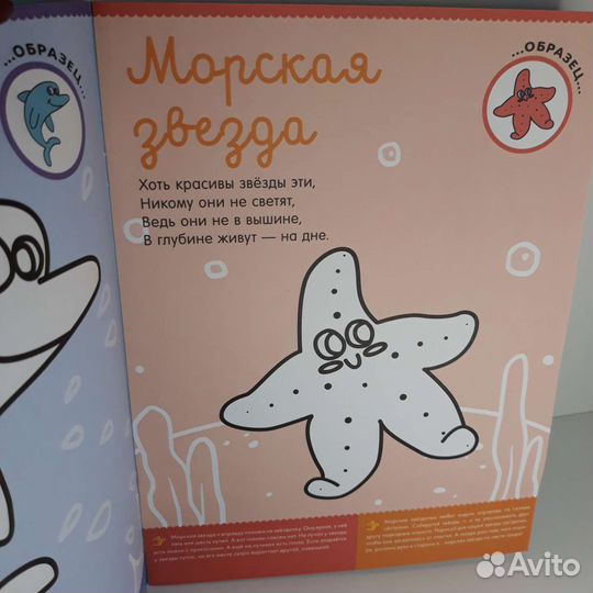 Раскраска кто живет в море