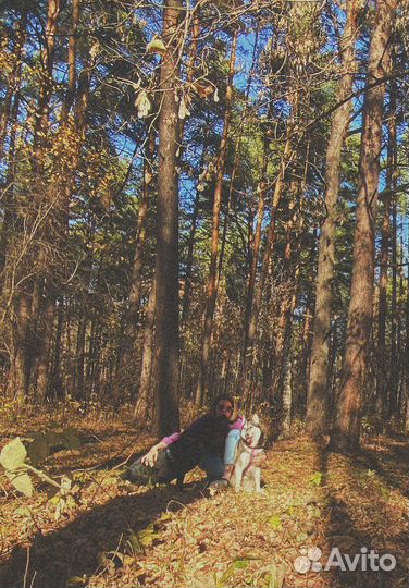 Кинолог DOG-тренер