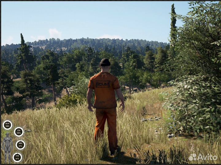 Scum - Пополнение Steam