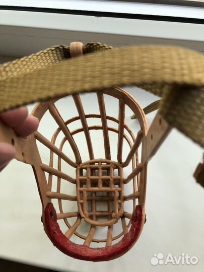 Намордник и ошейник для собак