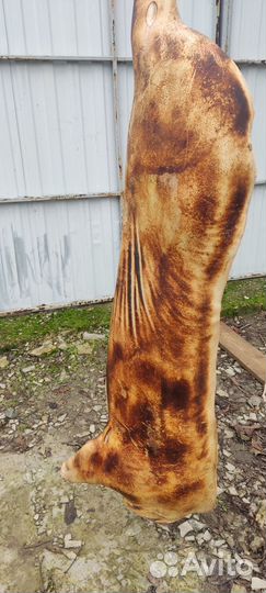 Продажа свинины полутушами или четвертинкой