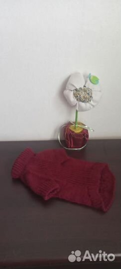 Одежда для собак