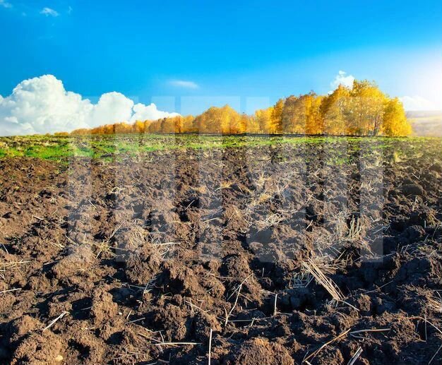 Участок 4,6 га (промназначения)