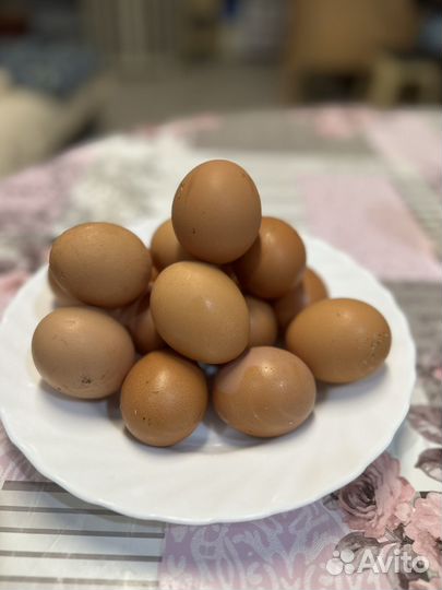Домашние куриные яйца