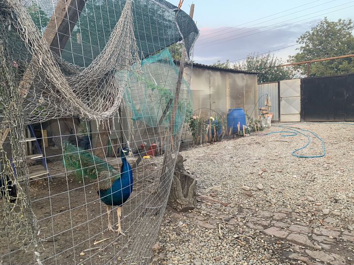 Дом 36 м² на участке 22 сот.