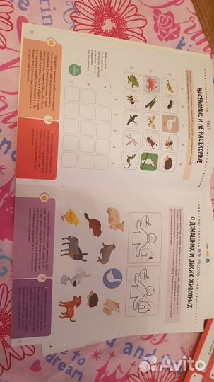 Мегалогика я понимаю мир природы