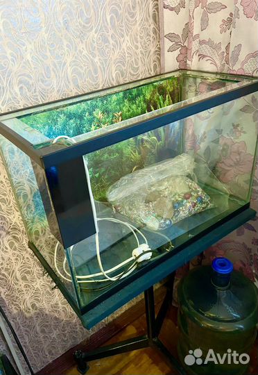 Аквариум