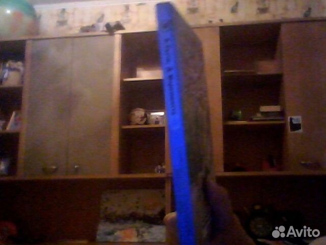 Книга коты детективы