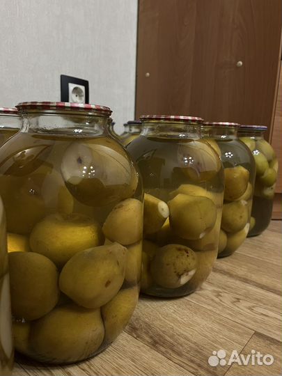 Соленья домашние