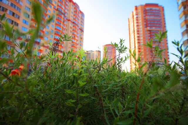 2-к. квартира, 73,3 м², 23/24 эт.