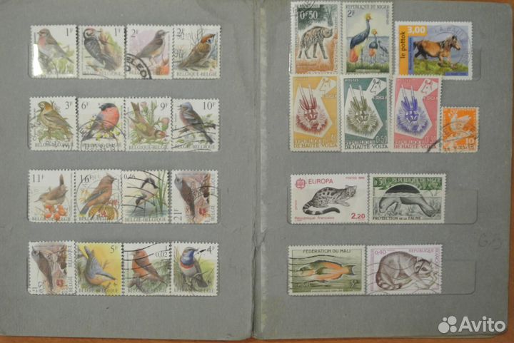 Марки с животными