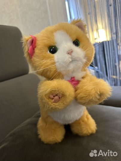 Интерактивный Котик