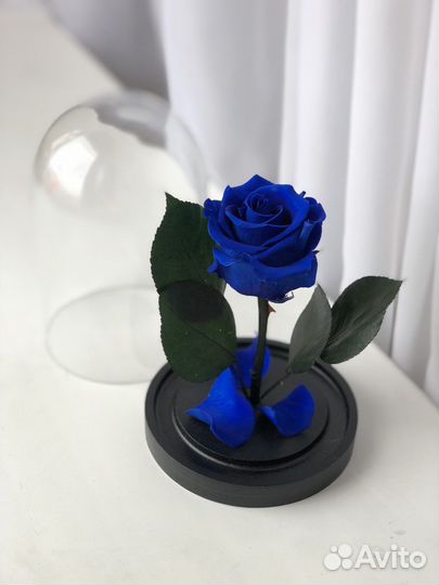 Роза в колбе