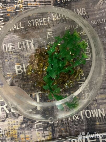 Аквариум с принадлежностями и кормом