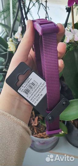 Ошейник для собак