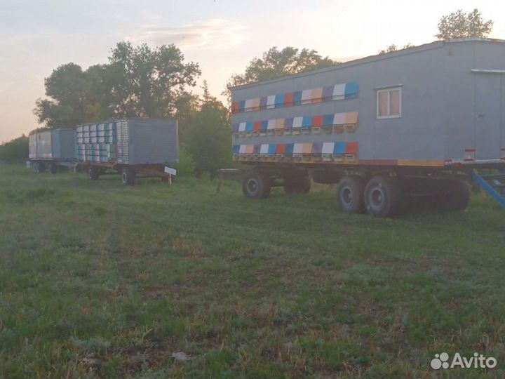 Прицеп-дача ABI Ace, 2022