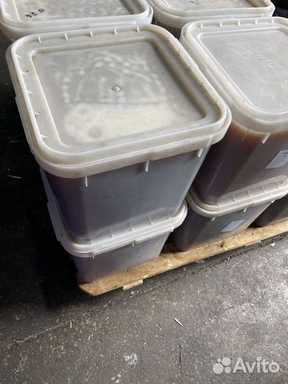 Мёд свежий гречишный опт