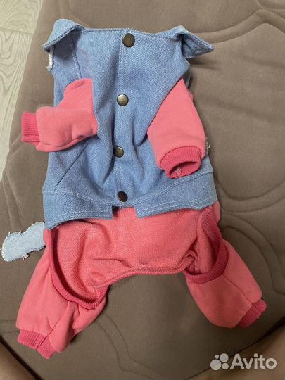 Одежда для маленьких собак