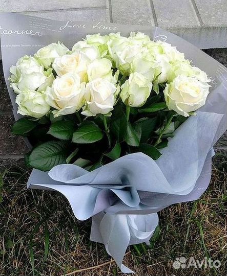 Высокие розы