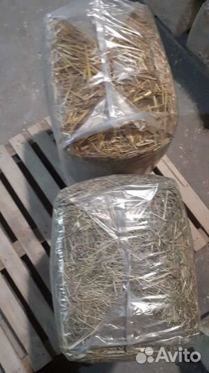 Солома, Сено луговое душистое